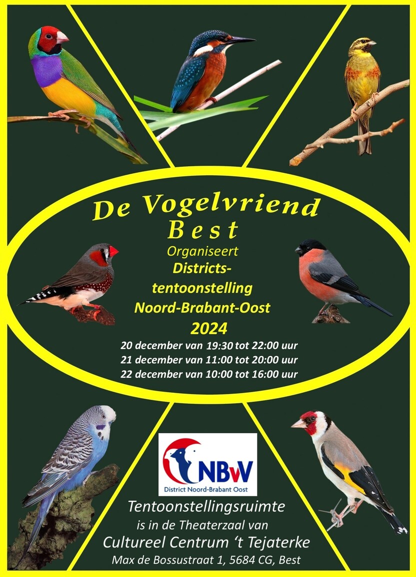 Flyer 2024 definitief